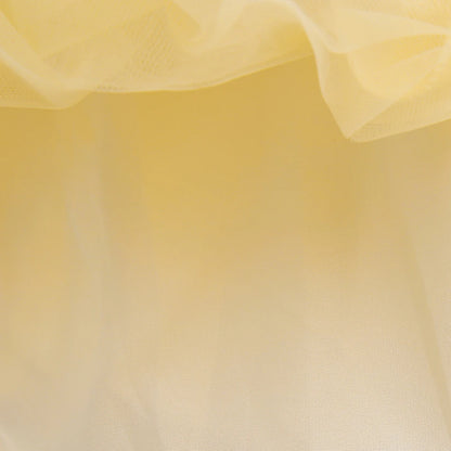 プリンセス・ブルーム・フェアリー ドレス